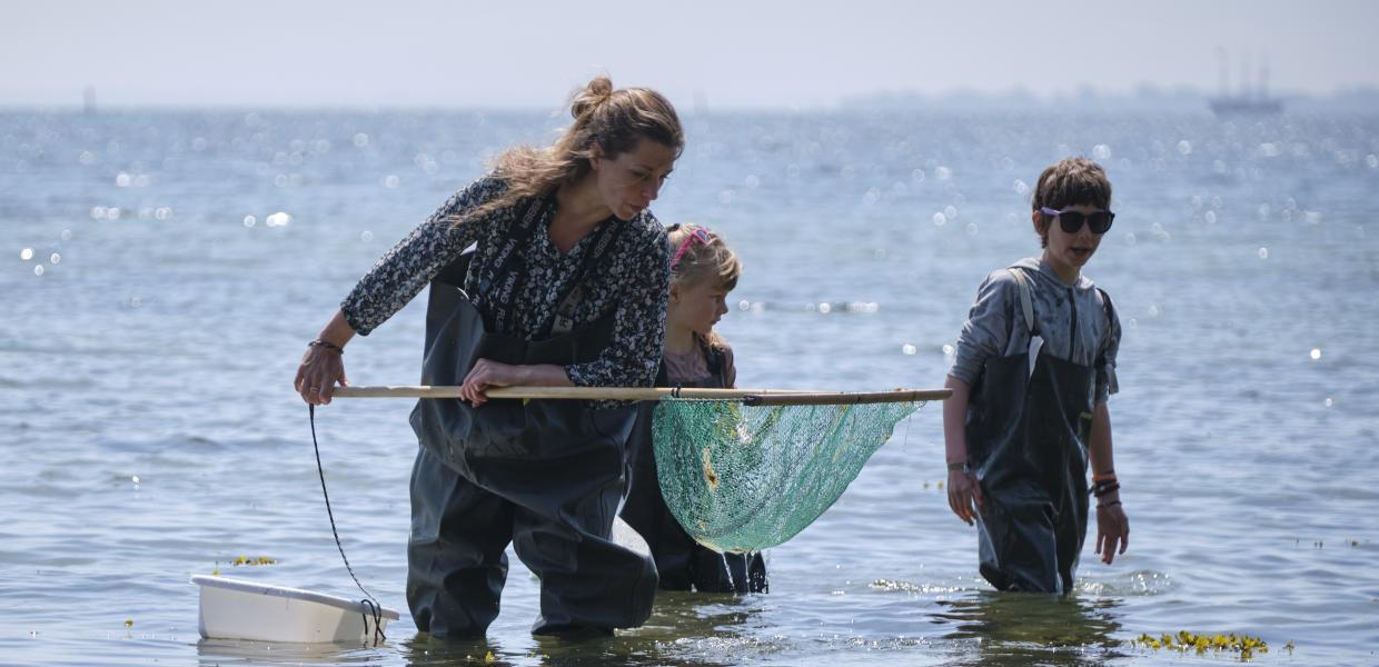 Mor med to børn fisker med net i Det Sydfynske Øhav