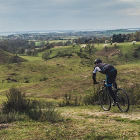 MTB | Track | Mountainbike | Svanninge | Pipstorn | Ringe | Ibjerg | Tracks