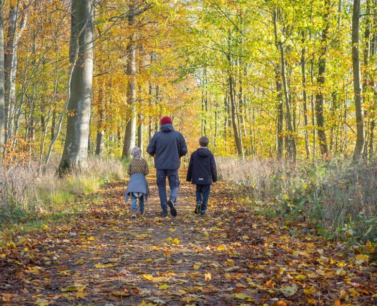 Familie der går i en skov