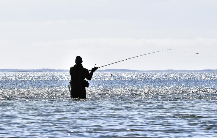 Angler at Dyreborg in the spring